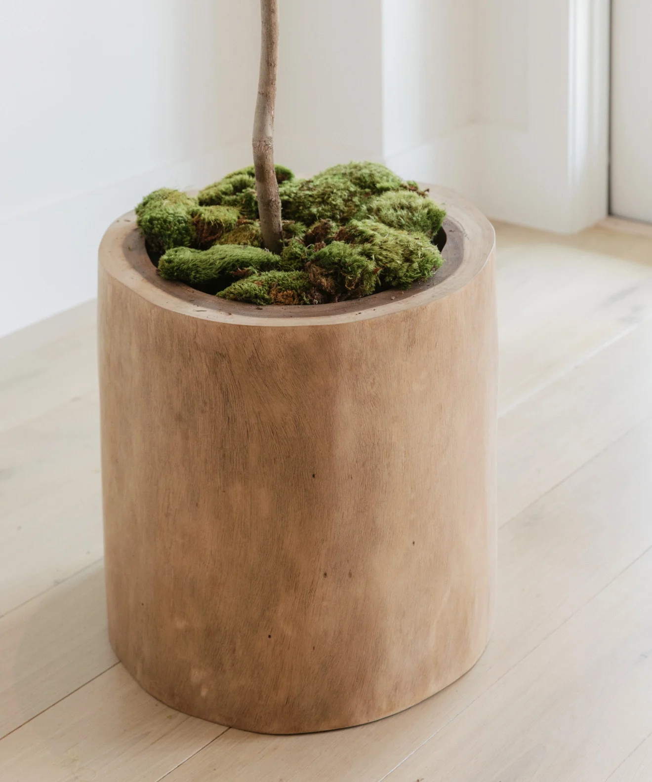 Ranch Planter - Image 3